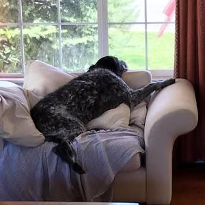 Meet your Posher, Jodi